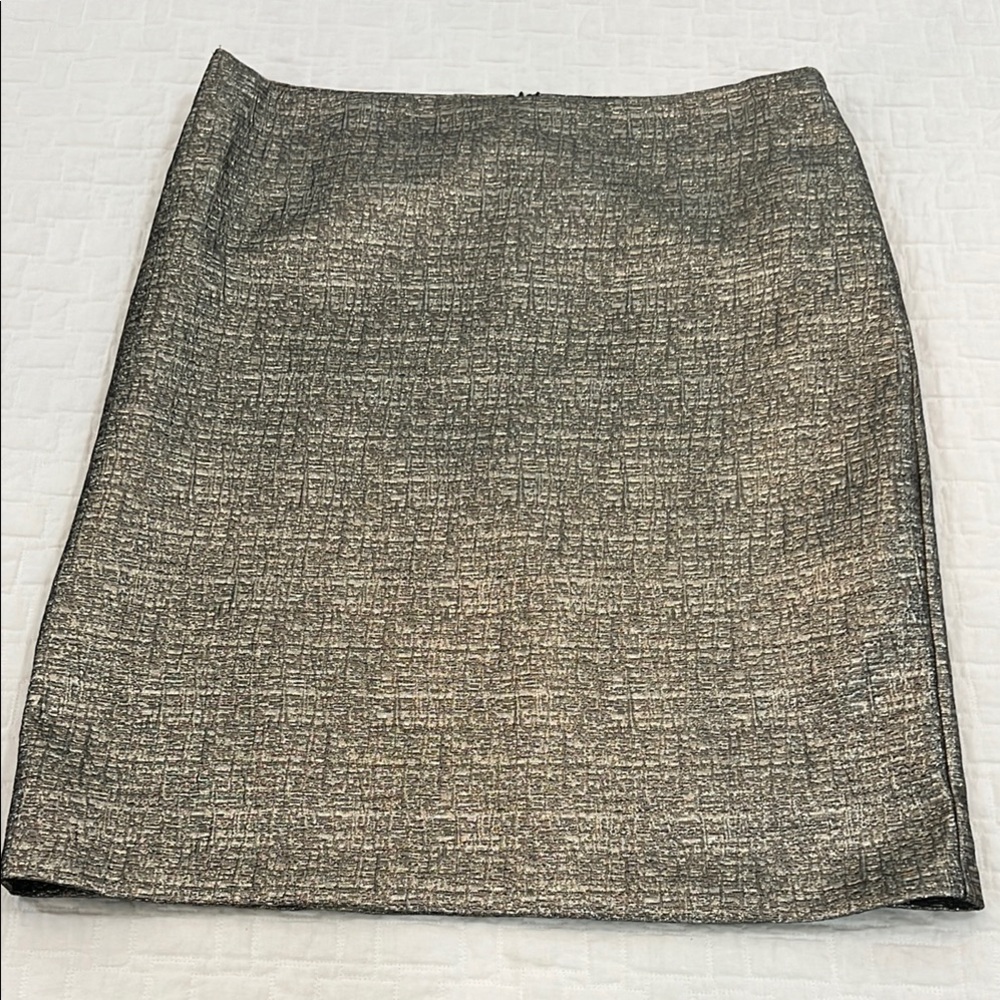 Elegant Pewter Women's Skirt